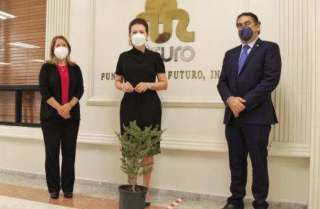 DONACIÓN DE UN ÁRBOL DE CEDRO DEL LÍBANO