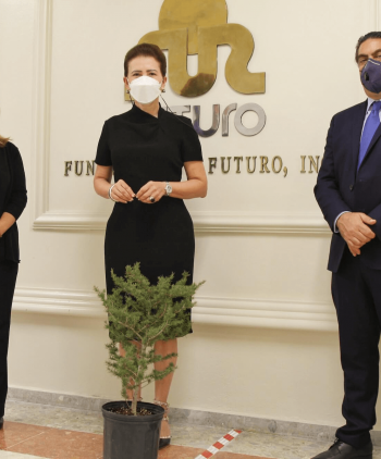 DONACIÓN DE UN ÁRBOL DE CEDRO DEL LÍBANO